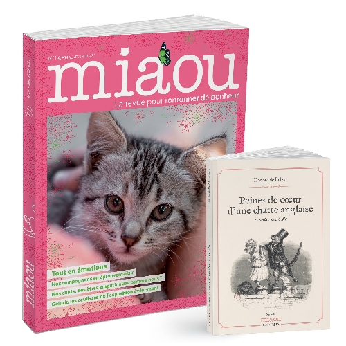 Miaou n°14 + OJ Peines de coeur d'une chatte anglaise