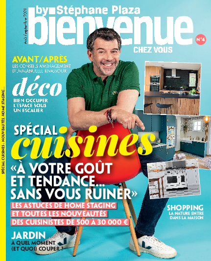 Bienvenue chez vous by Stéphane Plaza n°4