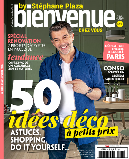 Bienvenue chez vous by Stéphane Plaza n°5