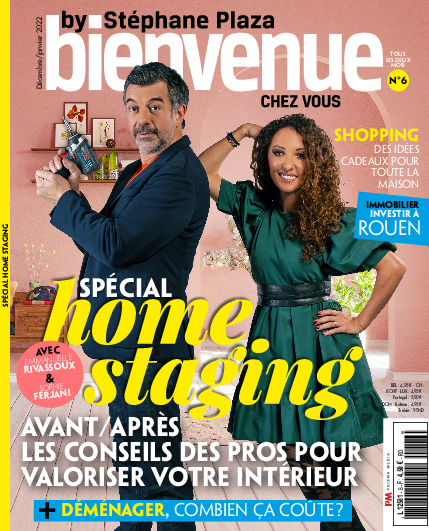 Bienvenue chez vous by Stéphane Plaza n°6