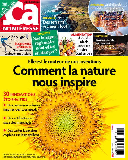 Ça M'intéresse n°501