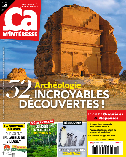 Ça M'intéresse n°519