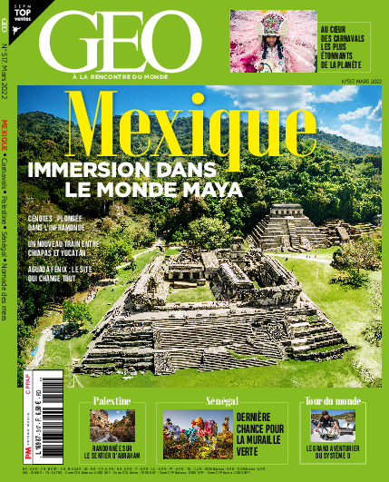 GEO n°517