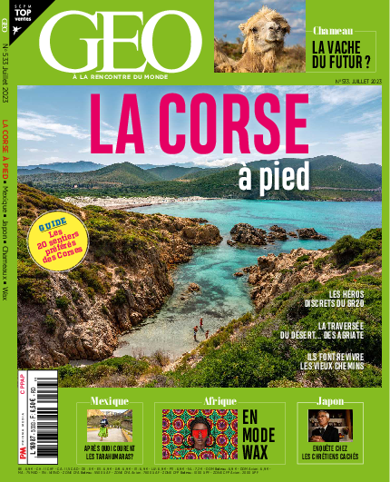 GEO n°533
