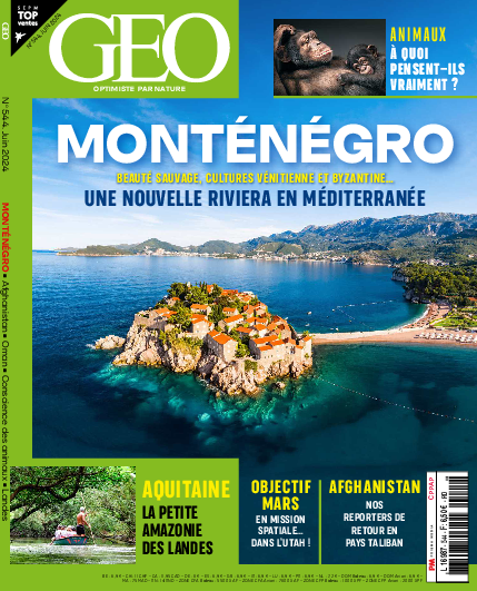 GEO n°544