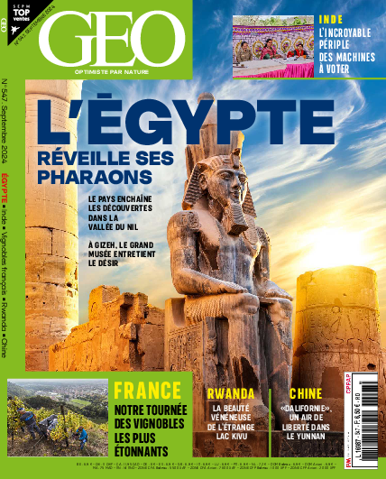 GEO n°547