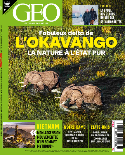 GEO n°550