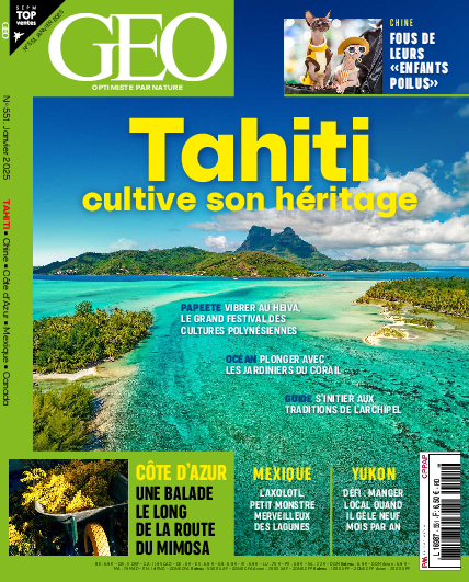 GEO n°551