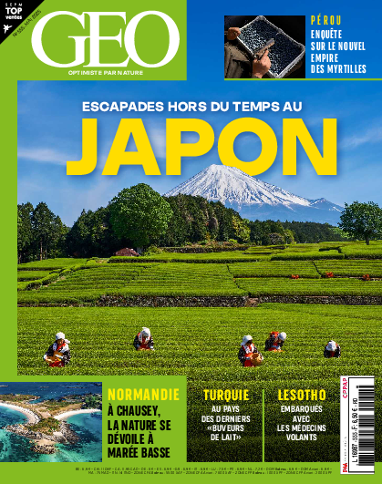 GEO n°555