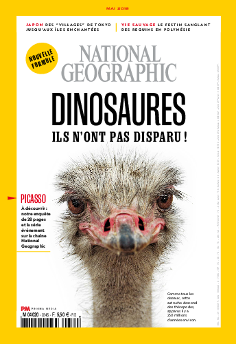 National Geographic n°224