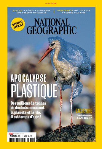 National Geographic n°225