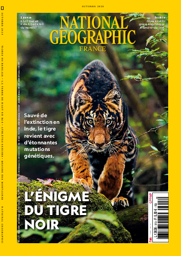 National Géographic n°313