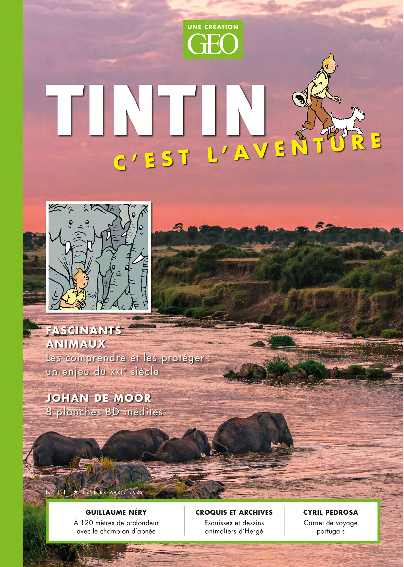 Tintin c'est l'aventure n°11