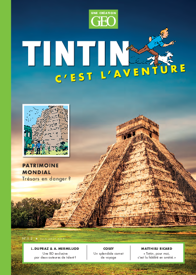 Tintin c'est l'aventure n°12