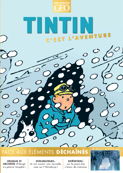 Tintin c'est l'aventure n°22