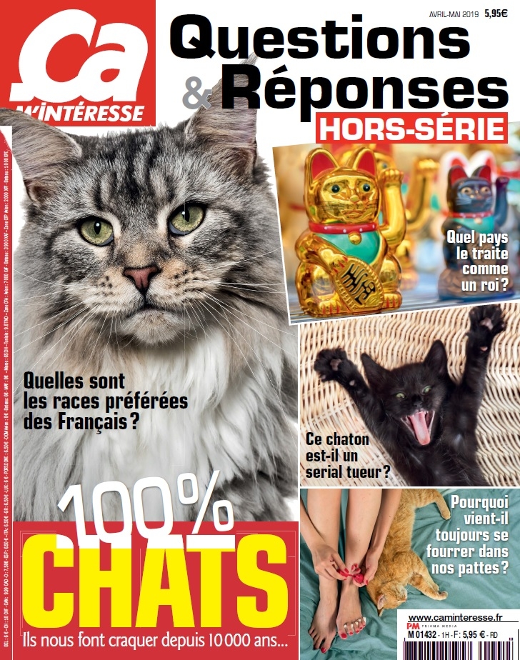 Hors série Ca m'intéresse 100% chats