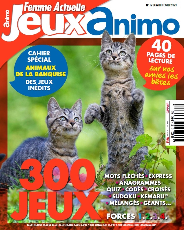 Femme Actuelle Jeux Animo n°17