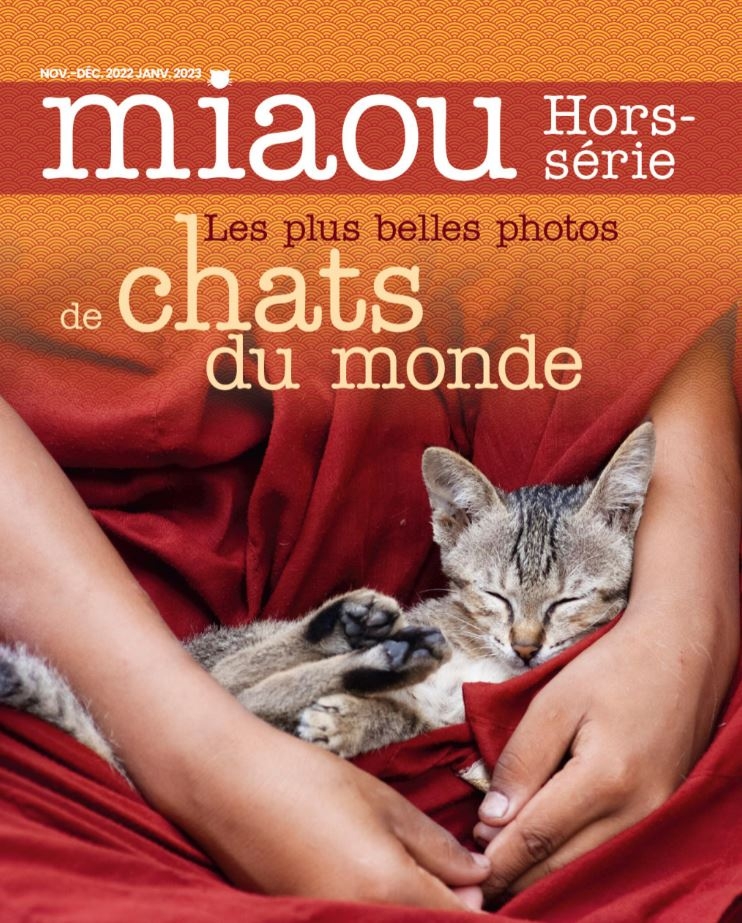 Hors Série Miaou N°4