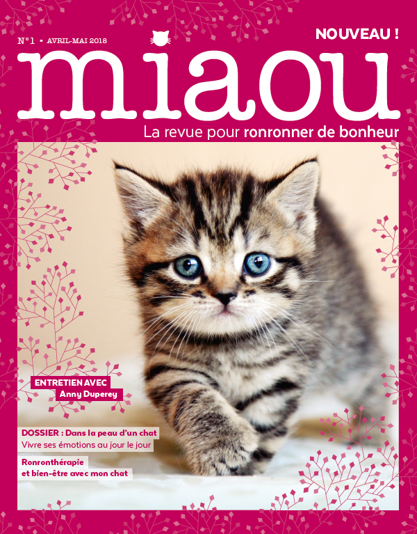 Miaou n°1