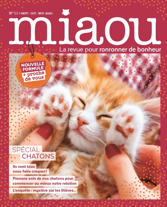 Miaou n°11