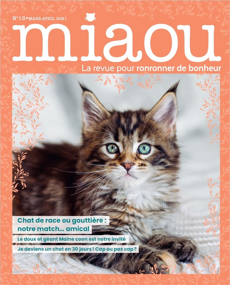 Miaou n°13