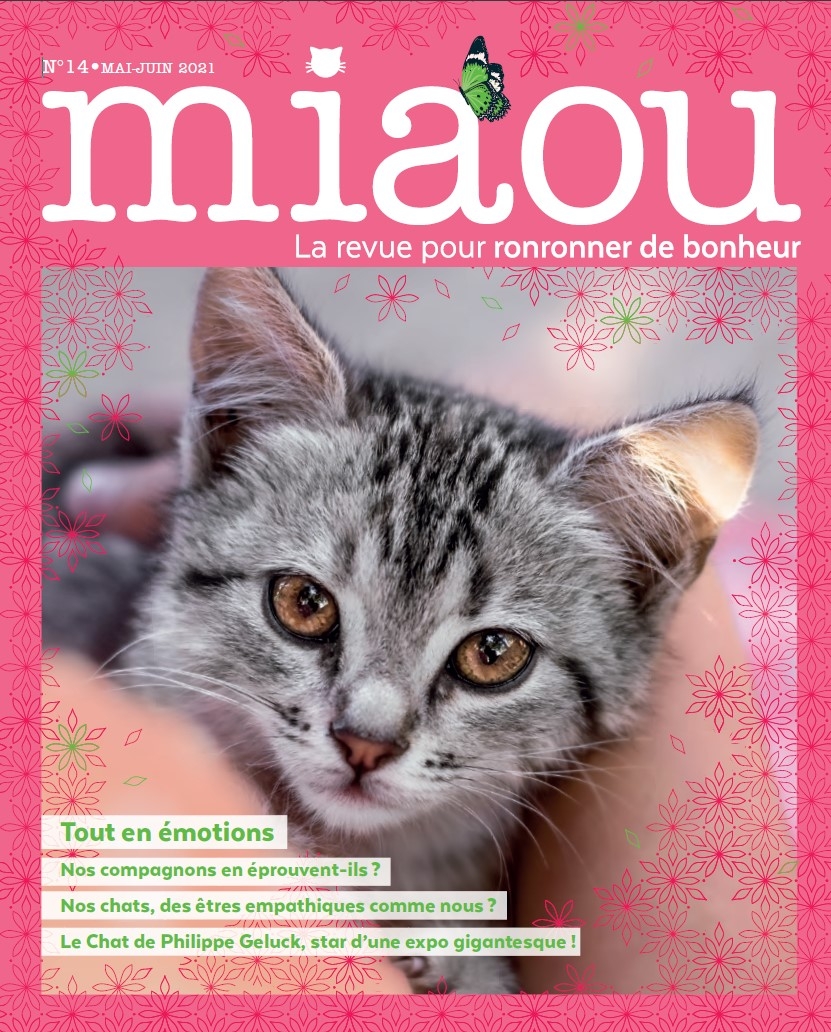 Miaou n°14