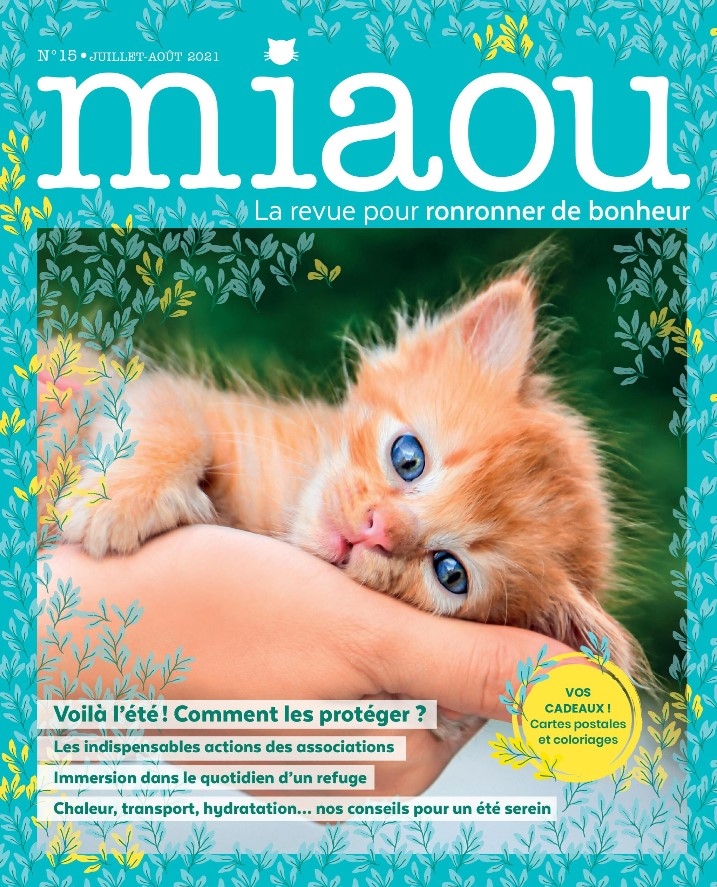 Miaou n°15