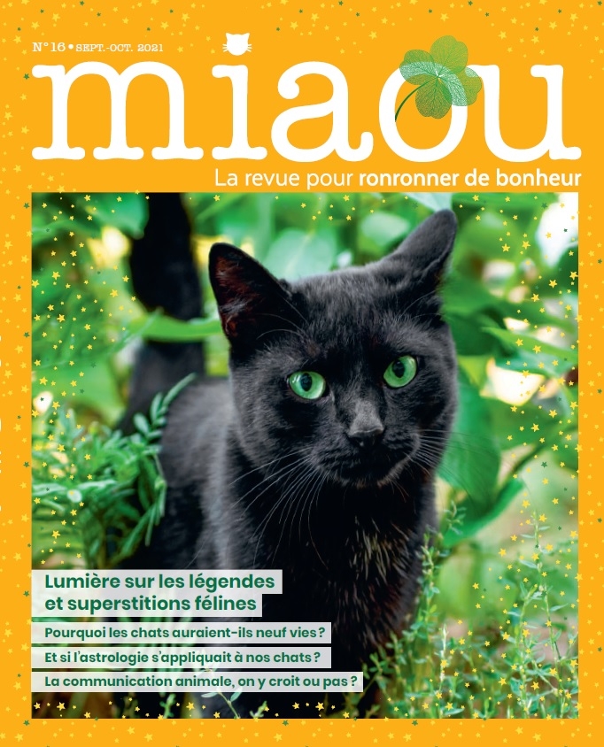 Miaou n°16