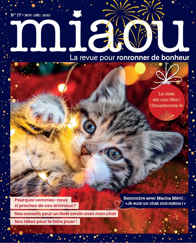 Miaou n°17