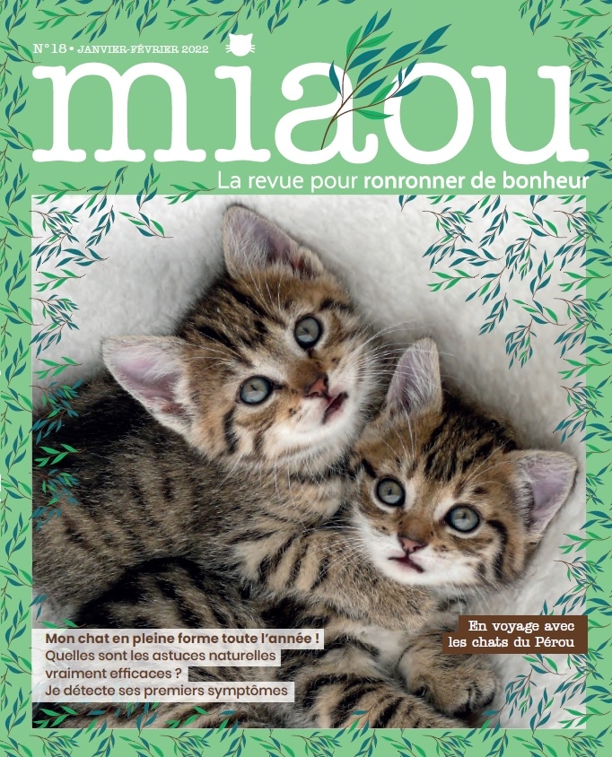 Miaou n°18