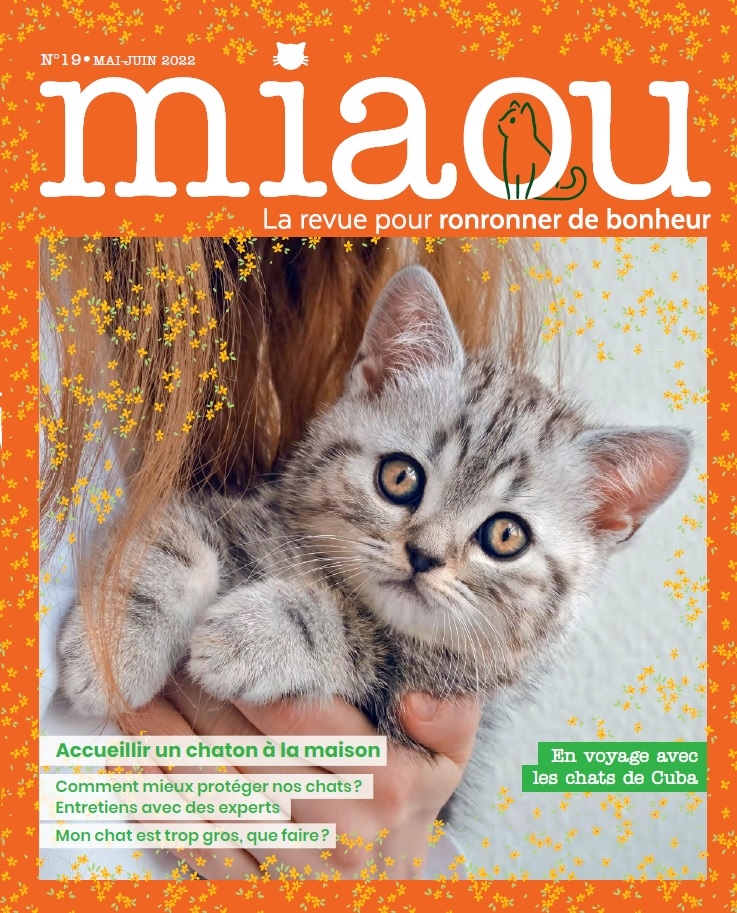 Miaou n°19