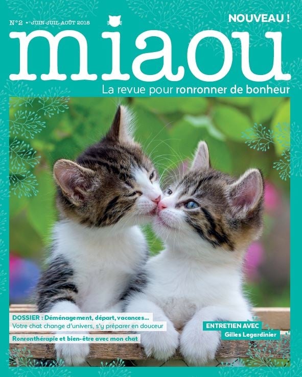 Miaou n°2