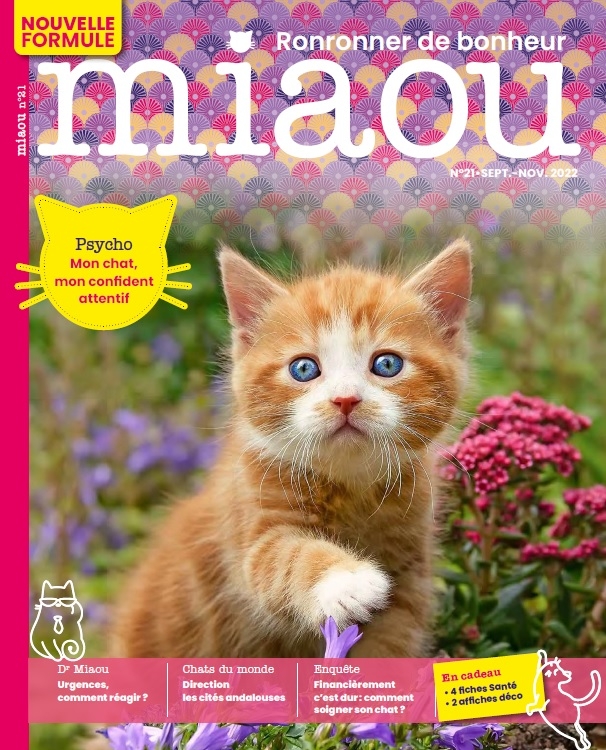 Miaou n°21