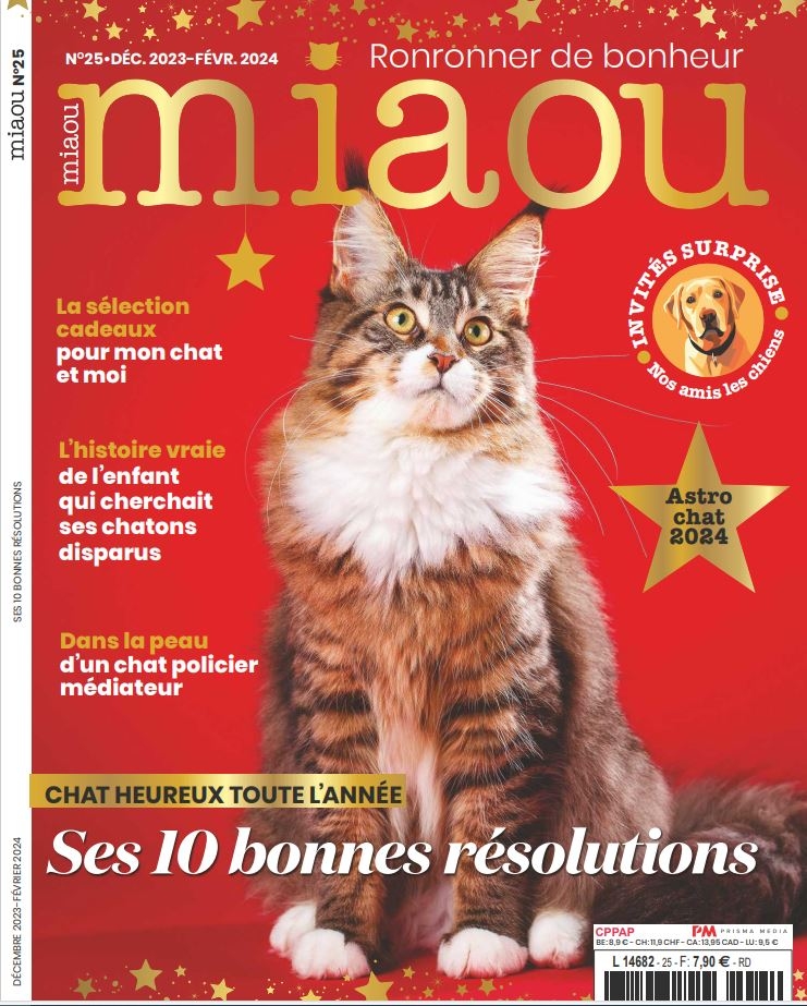 Miaou n°25