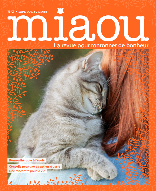 Miaou n°3