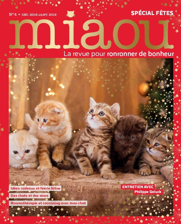 Miaou n°4