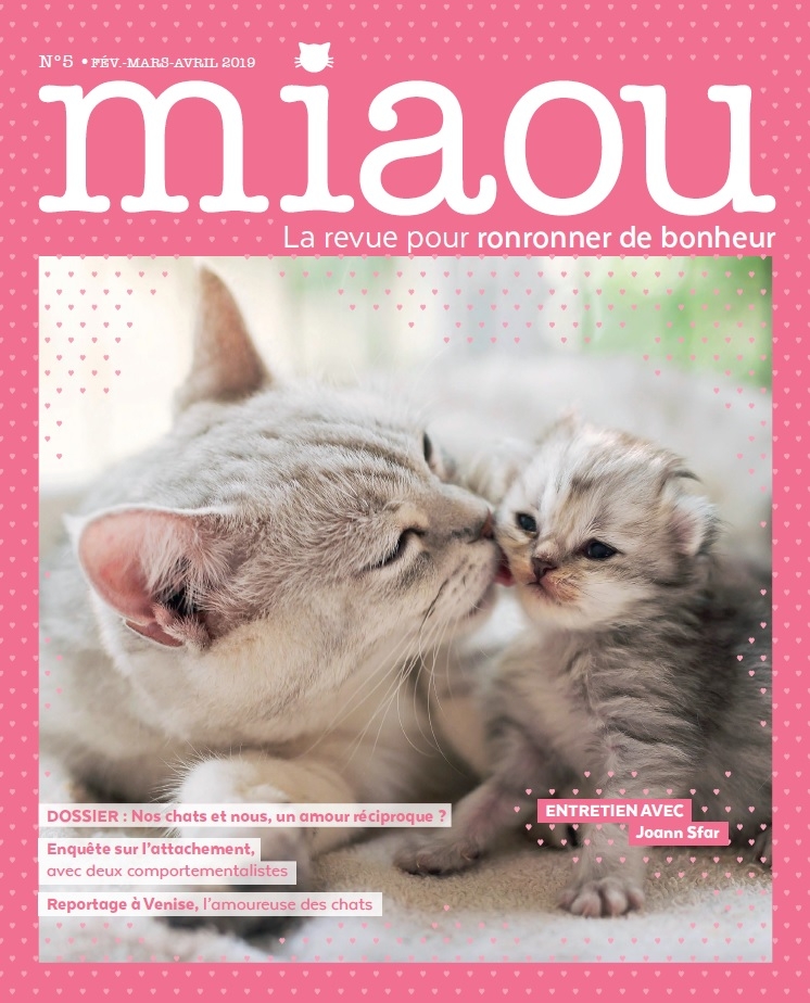 Miaou n°5