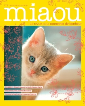 Miaou n°6