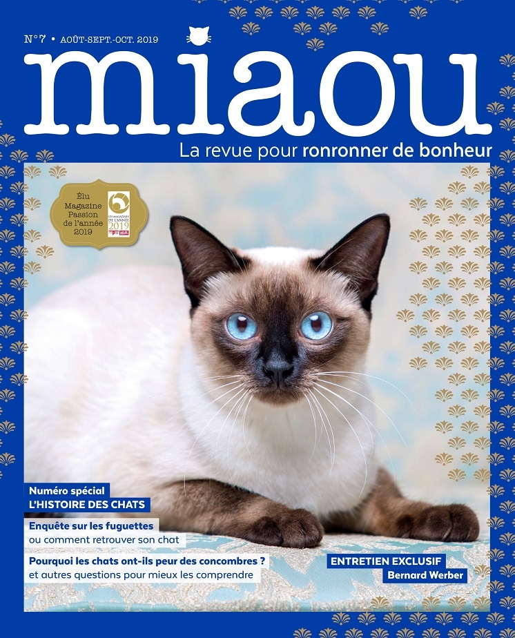 Miaou n°7